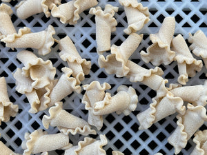 Campanelle w/ Spring Wheat (DRIED)