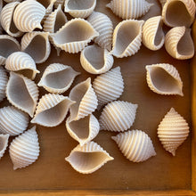 Load image into Gallery viewer, Conchiglie w/ Redeemer
